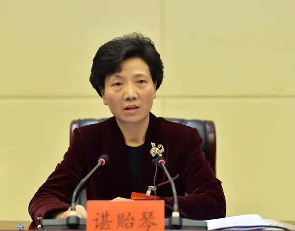省委副书记,省委政法委书记谌贻琴,副省长,省公安厅厅长孙立成出席