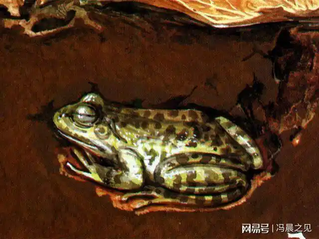 原创七绝一首冬眠青蛙