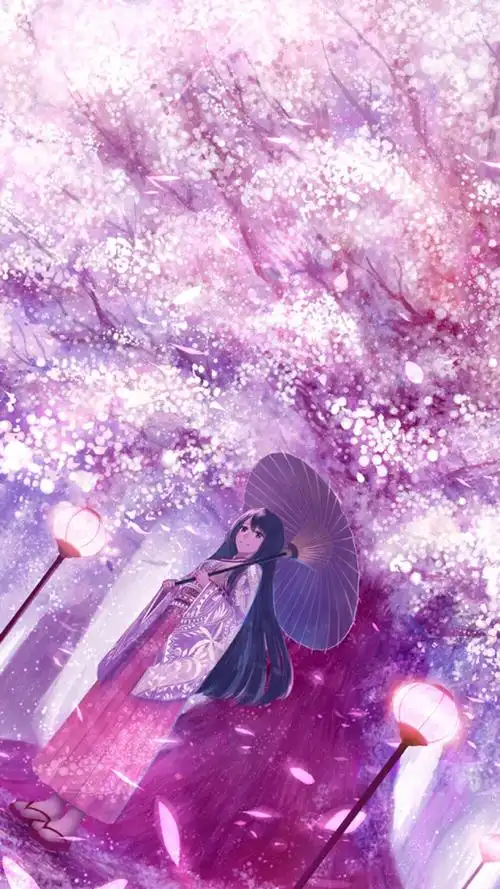 场景插画壁纸樱花