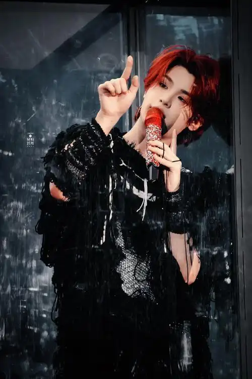 黄明昊贾想世界演唱会