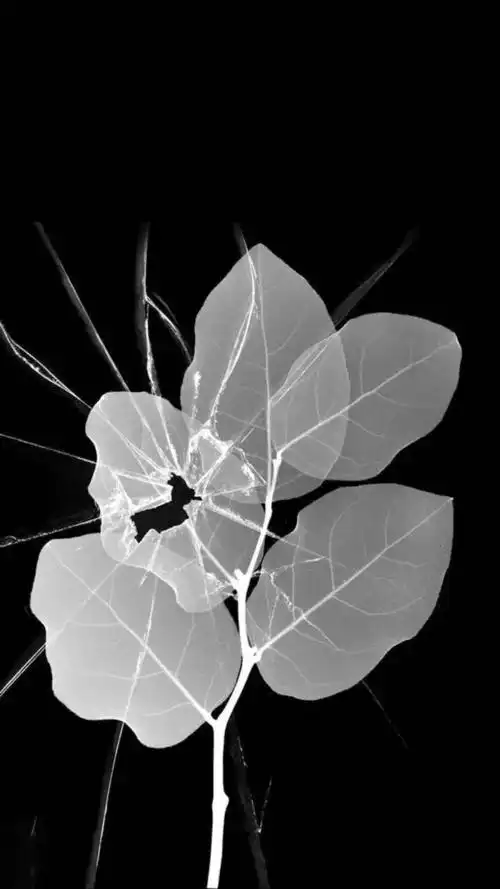 壁纸| 个性碎屏壁纸,你该换屏了!(超多适合男生的)