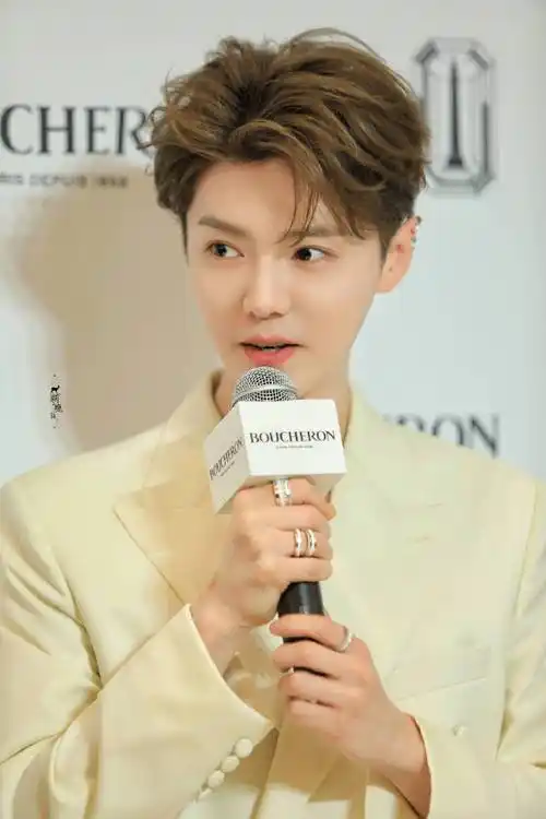 鹿晗戴耳骨钉##鹿晗项链好长