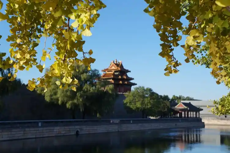 紫禁城我的家在紫禁城前三殿后三宫摆驾御花园