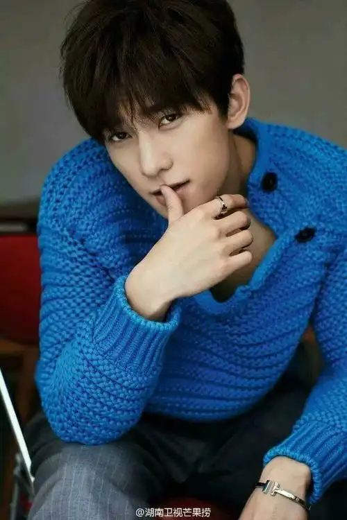 杨洋,中国内地男演员,1991年9月9日出生于上海,籍贯安徽合肥,毕业于