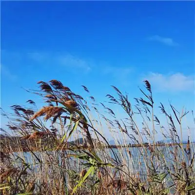 唯美风景头像图片大全高清