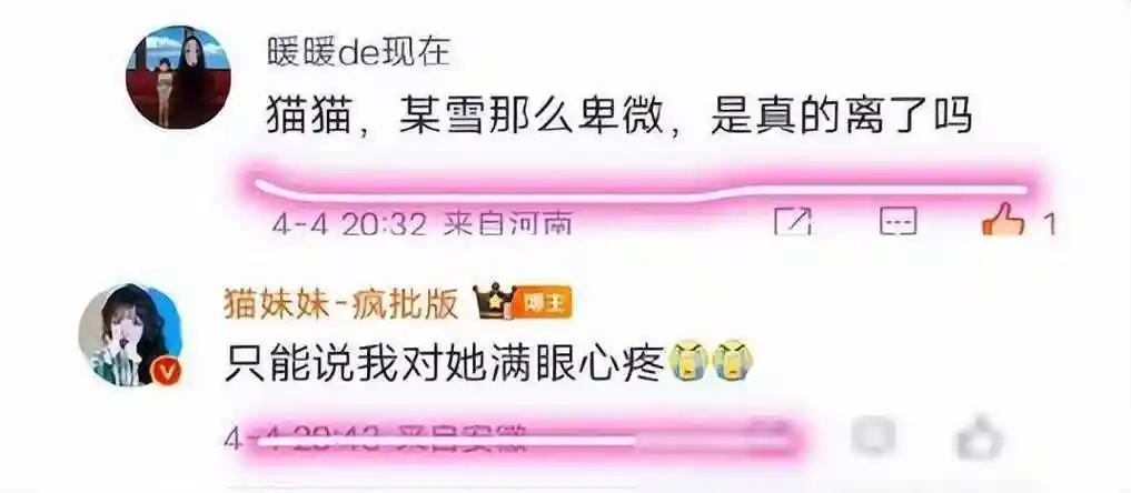 辛巴雪大婚变回应再传弃子争议