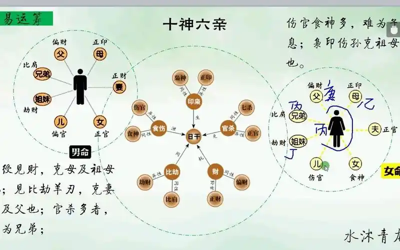 四柱八字15十神六亲b
