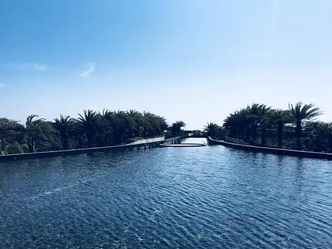 酒店大堂外的水池