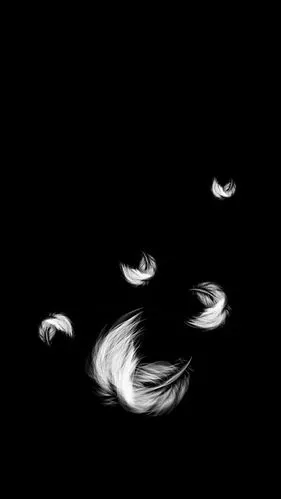 黑色背景唯美图片