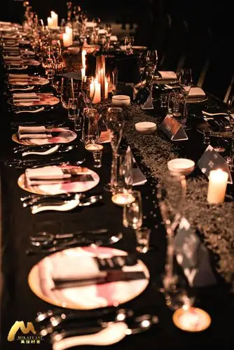 美佳6192限宴筵艺术晚宴定于世界地球93开启