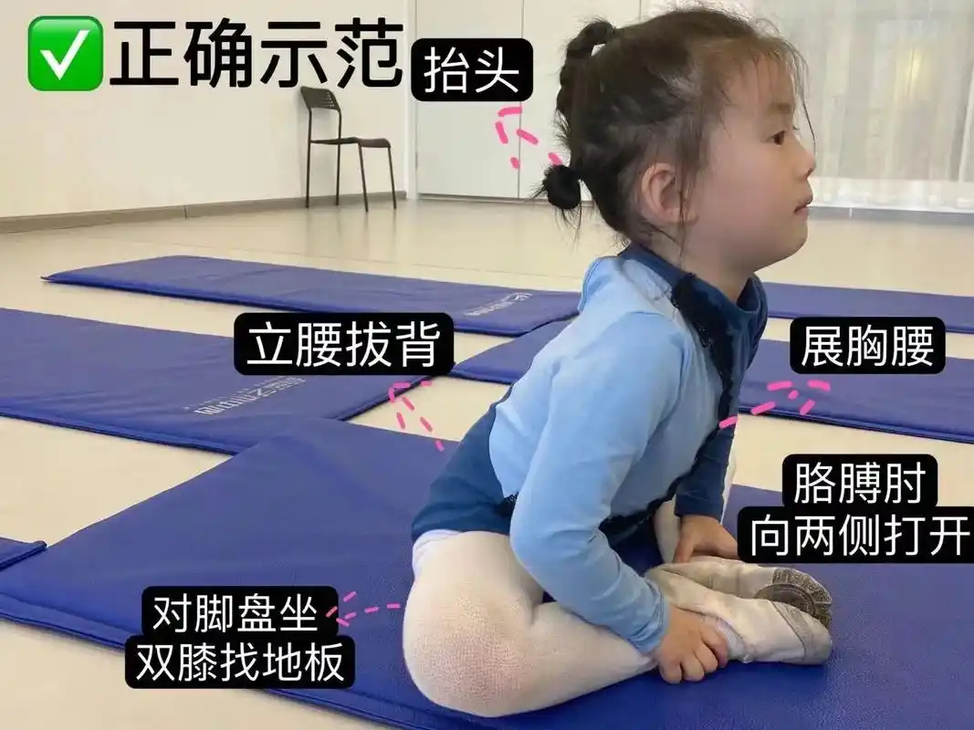 中国舞基本功图册,动作正确示范7815.