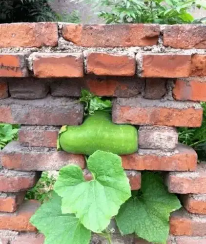 盘点那些笑死人不偿命的图片