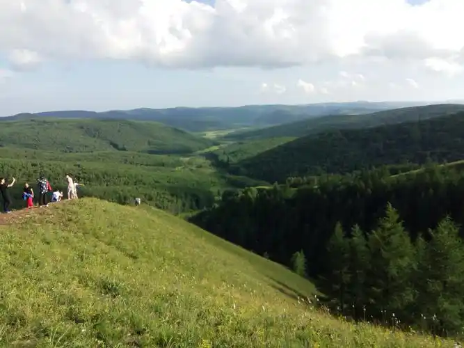 走进内蒙古(之三) 这里展示的是塞罕坝草原,属于高山草原类型.