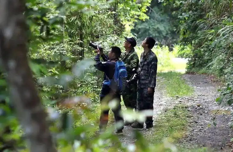 80后工程师"泡"在宜丰山里15年!_黎杰俊_昆虫_何贱