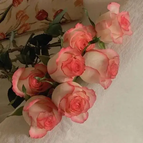 ins风唯美背景图你应该很快乐吧