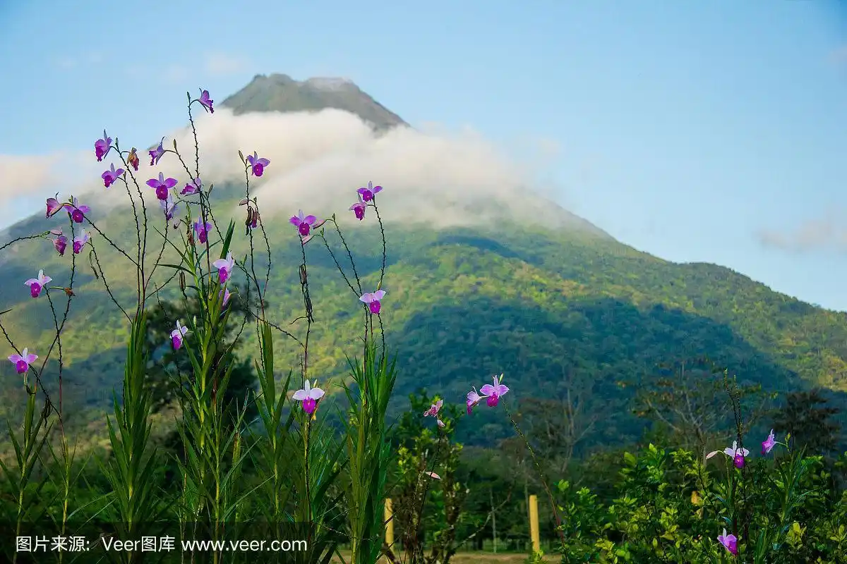 哥斯达黎加,阿雷纳火山,自然,热带雨林,热带气候