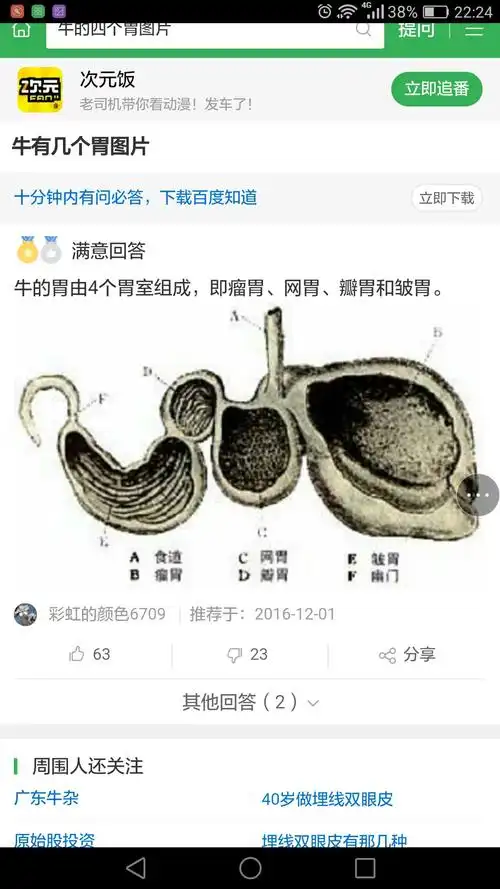 30认识牛的四个胃,近距离直观了解反刍动物胃的构造和功能