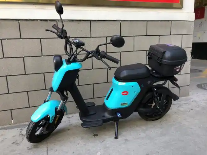 小牛电动车出租