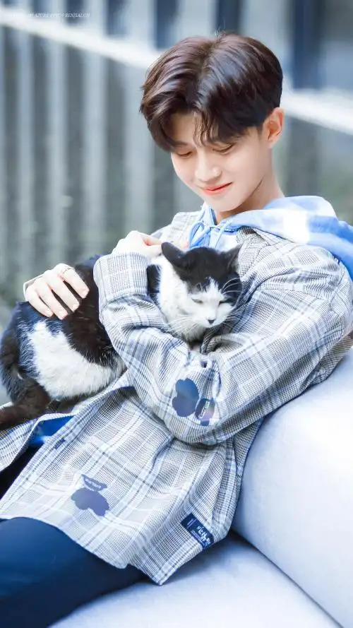 任嘉伦 - 堆糖,美图壁纸兴趣社区