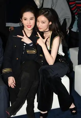 刘亦菲倪妮二美同框,刘亦菲被黑?怎么变样了?