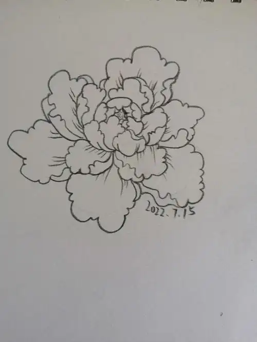 画可以看出人的心情,今日心情不错,如牡丹花绽放,美好的一天,从一幅画