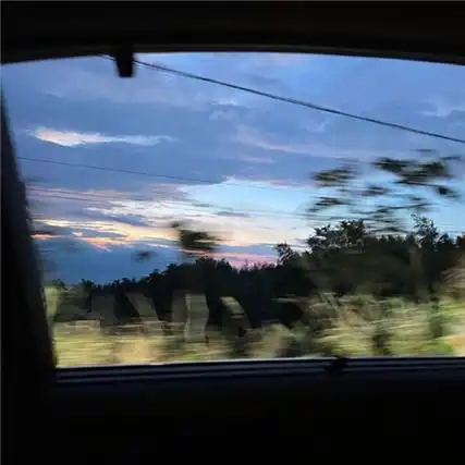 抖音超火的背景图片最新款绝美黑暗中也别枯萎我的向日葵