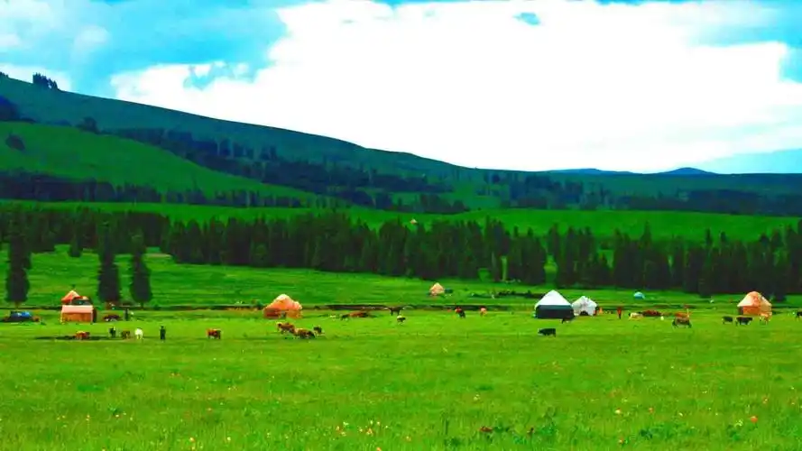 清新那拉提草原迷人美景-风景壁纸 - 壁纸家