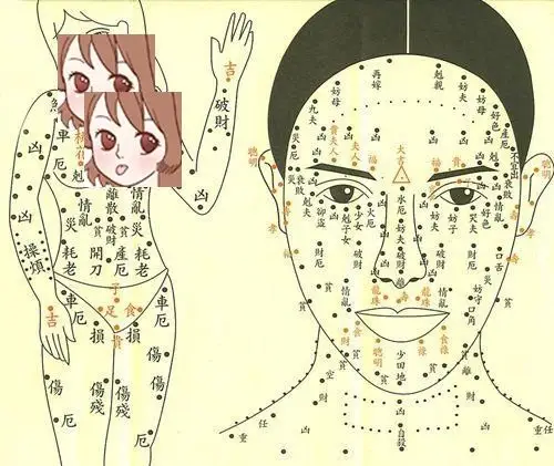 全身痣相图解女人颈部四个痣相图解