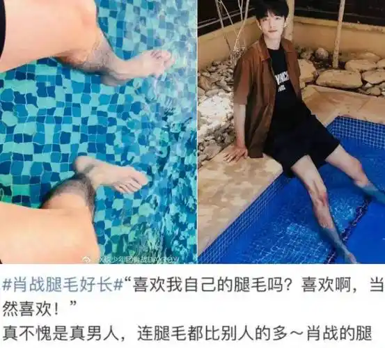 肖战的腿毛比迪丽热巴的胸毛更高贵吗?为什么不放过迪丽热巴的胸