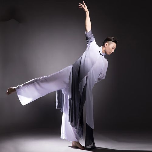 洛之潮男生中国风舞蹈服表演服古典舞演出服飘逸男子装再别康桥书生
