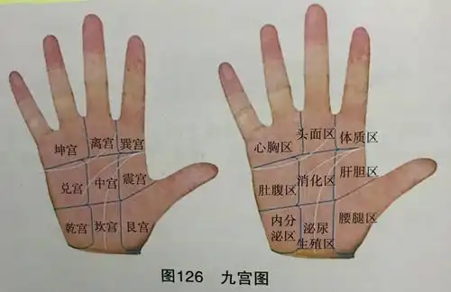 【全息经络手诊的奥秘】九宫格