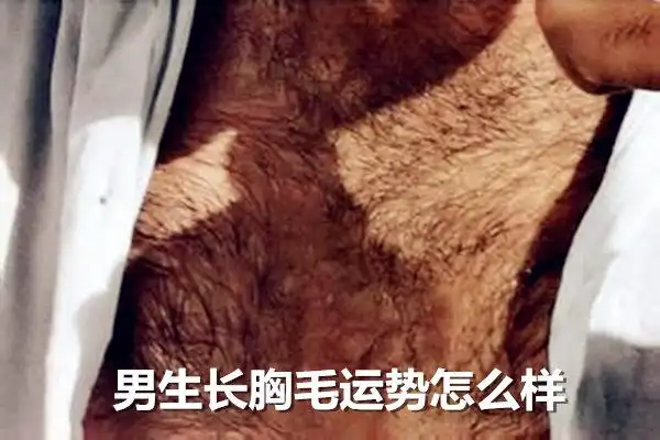 男生长胸毛运势怎么样