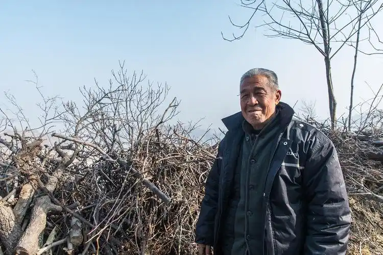 七旬老人在山里种地一年挣七万元,既能锻炼身体,又环保无污染