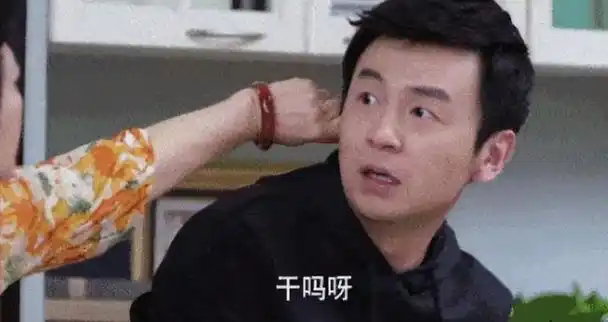 回顾雷佳音吵架吵出老婆来丈母娘是自己的粉丝婚后多年无绯闻