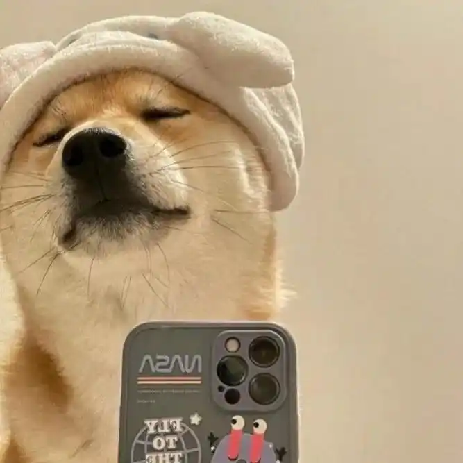 搞笑女头像分享.#头像 #搞笑女  - 抖音