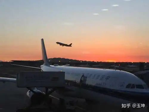 2019 年,你拍得最好的一张照片是什么?它又有什么故事呢?