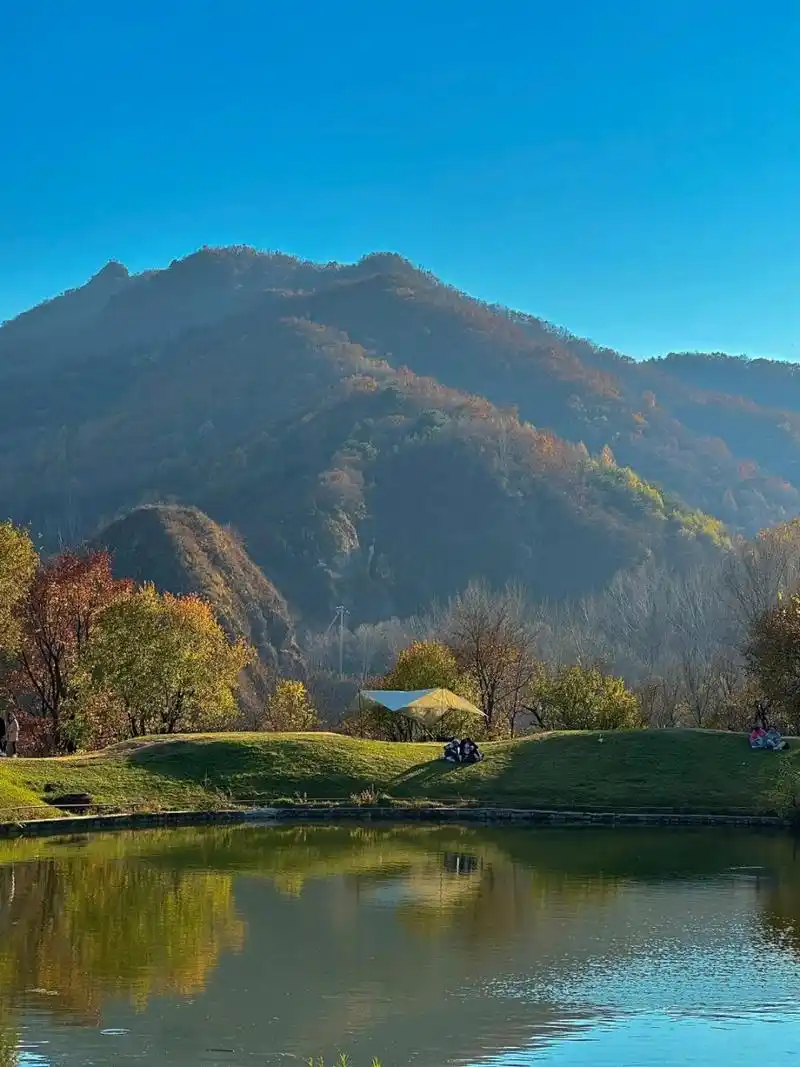 北京的秋天之美:玉渡山高山草甸的顶级享受  北京的秋天,美得让人
