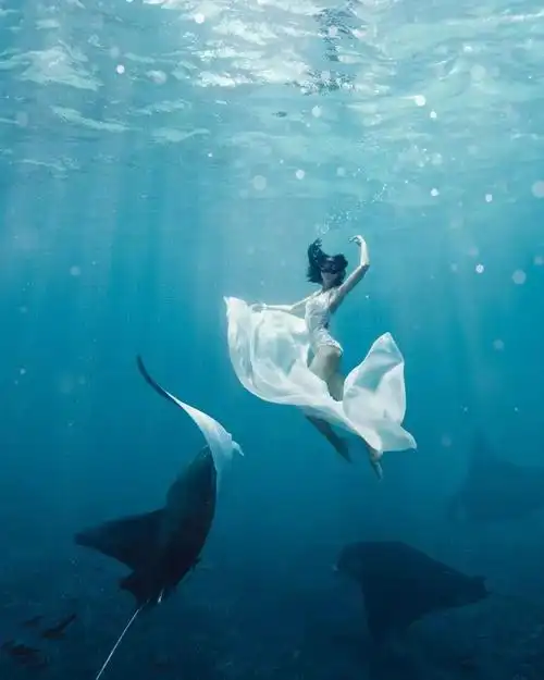 奇幻又唯美这位潜水摄影师给我们呈现一组视觉大片