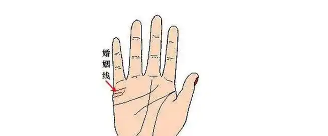 手相婚姻线有三条有何含义