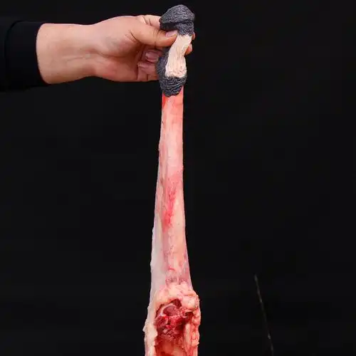 新鲜特大驴鞭带单蛋现杀种驴河北特产泡酒送礼男性专用包邮驴三件