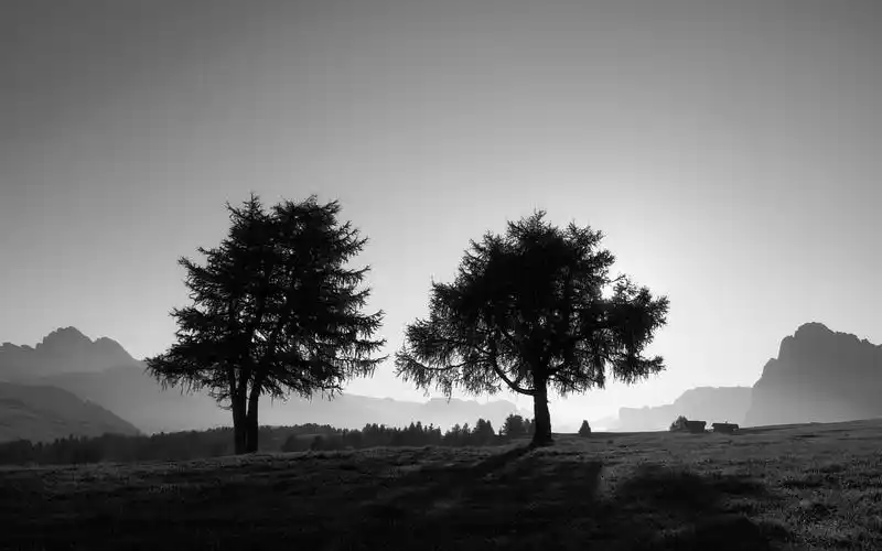 唯美黑白风景高清桌面壁纸