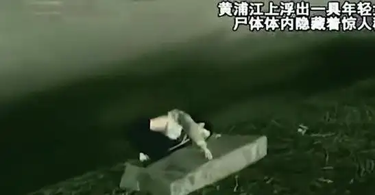 上没有发现明显伤痕,体内没有药物痕迹,肺部有大量泥沙,疑似溺水身亡