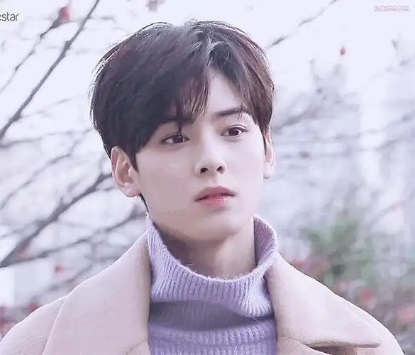 脸蛋天才车银优头像(一)-神颜贩卖铺-话本小说网