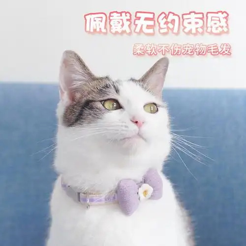 猫咪项圈防锁死安全脖套蝴蝶结猫颈饰品小型犬狗项圈宠物用品批发