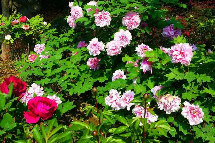 绚丽多彩的世界