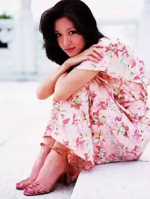 何来雍雅的美人档案之一号:胡因梦