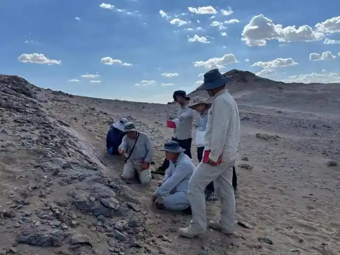 深地实验室中亚造山带构造解析团队在野外考察北山—阿拉善侏罗纪大