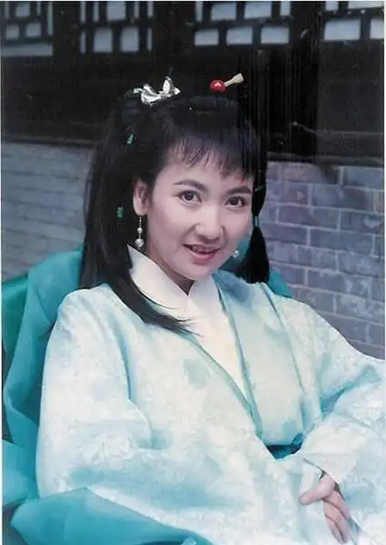 《绝代双骄》《连城诀》《新白娘子传奇》等电视剧让陈美琪的事业再