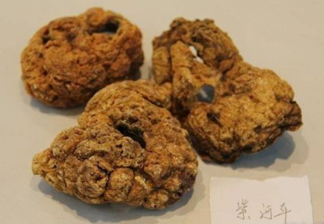 这样处理胎盘!后悔知道晚了!