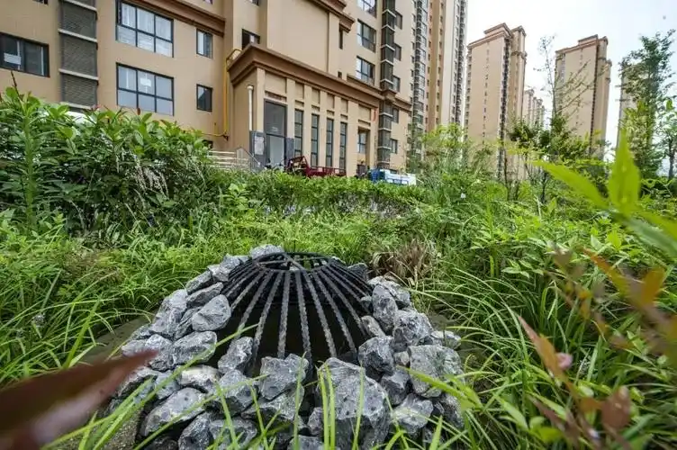 天福和园社区雨水花园不仅是市政道路,这里的建筑与小区,景观绿地